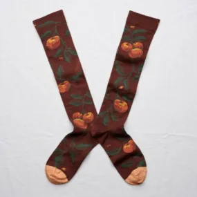 MI-BASS POMME CHATAIGNE SOCKS